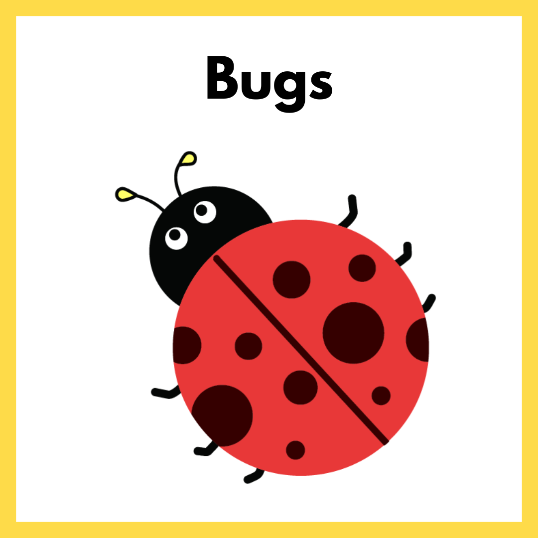 Icon for Storytime to Go Bugs kits