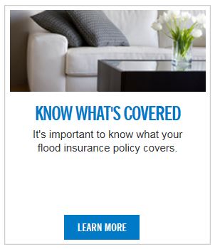 Whats covered.JPG Opens in new window