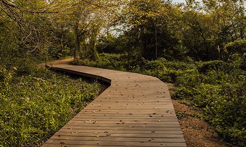 Nature preserve cropped